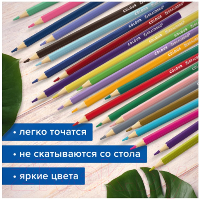 Набор цветных карандашей Brauberg Max / 181861