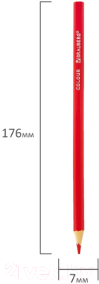 Набор цветных карандашей Brauberg Max / 181862