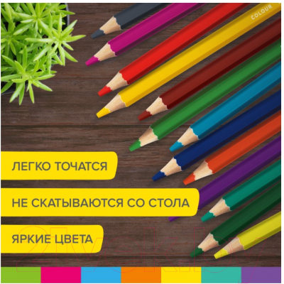 Набор цветных карандашей Brauberg Kids / 181879