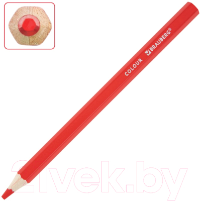 Набор цветных карандашей Brauberg Kids / 181879