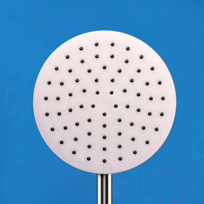 Душевая система со смесителем Damixa Elder D0701200