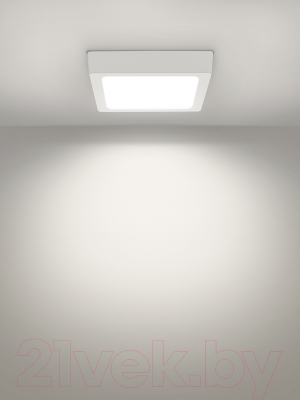 Светильник ЖКХ TDM SQ0329-4204