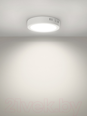 Светильник ЖКХ TDM SQ0329-4216