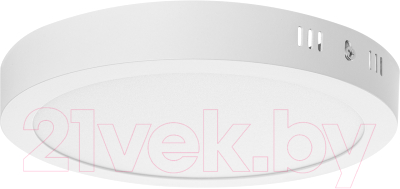 Светильник ЖКХ TDM SQ0329-4219