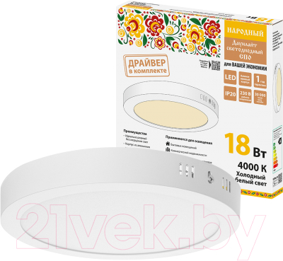 Светильник ЖКХ TDM SQ0329-4219