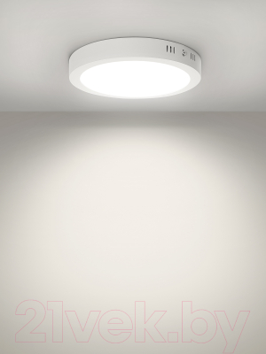 Светильник ЖКХ TDM SQ0329-4219