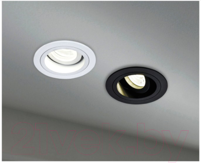 Точечный светильник Maytoni Akron DL025-2-01W