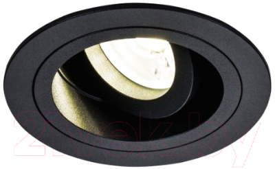 Точечный светильник Maytoni Akron DL025-2-01B