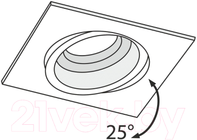 Точечный светильник Maytoni Akron DL026-2-01B