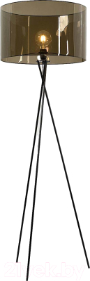 Торшер Lussole Lincoln LSP-0733 - фото