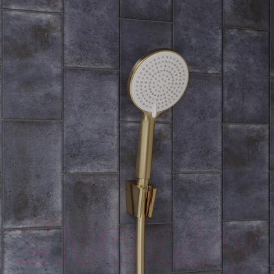 Душевой держатель IDDIS 080MG00i53