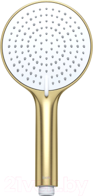 Лейка ручного душа IDDIS Optima Home OPH3FMGi18 - фото