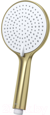 Лейка ручного душа IDDIS Optima Home OPH3FMGi18