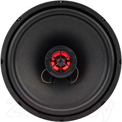 Коаксиальная АС AURA Fireball-i102