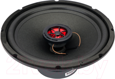 Коаксиальная АС AURA Fireball-i102