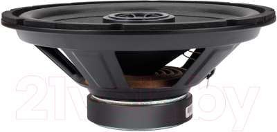 Коаксиальная АС AURA Fireball-i102