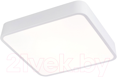 Потолочный светильник LED4U L2022-300 WH - фото