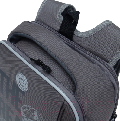Школьный рюкзак Grizzly RAf-493-2