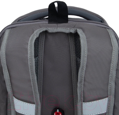 Школьный рюкзак Grizzly RAf-493-2