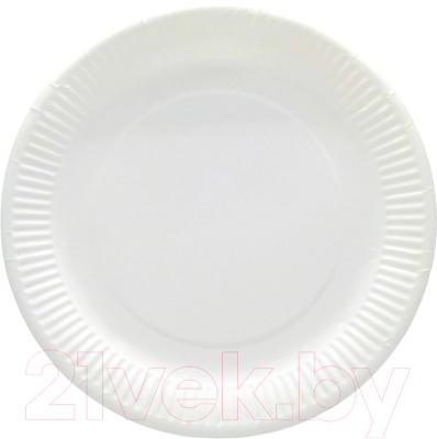 Набор одноразовых тарелок Raivbel ТБ-23 - фото