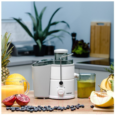 Соковыжималка электрическая Zelmer ZJE3800