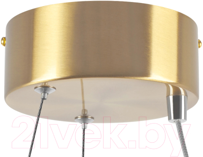 Потолочный светильник Lightstar Saturno 748013