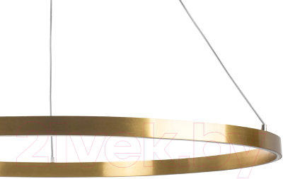 Потолочный светильник Lightstar Saturno 748053