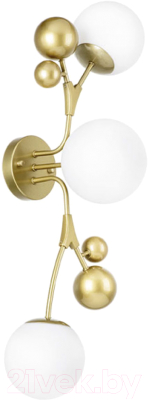 Бра Lightstar Croco 815533 - фото