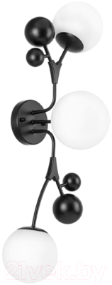 Бра Lightstar Croco 815537 - фото