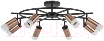 Люстра Lightstar Rullo LR7183081