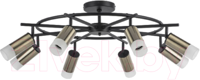 Люстра Lightstar Rullo LR7183181