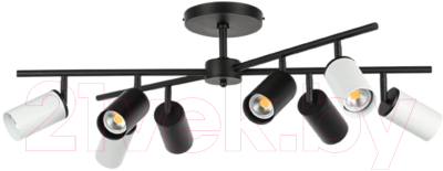 Люстра Lightstar Rullo LR728364374