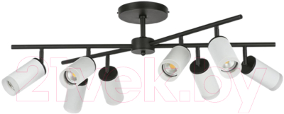 Люстра Lightstar Rullo LR7283680