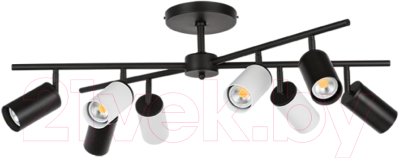 Люстра Lightstar Rullo LR728374364