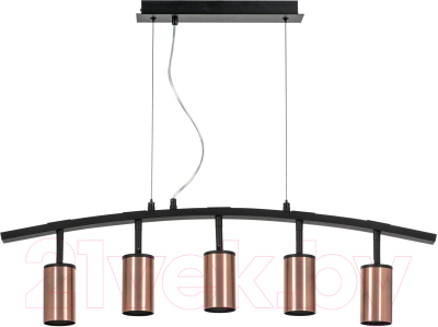 Люстра Lightstar Rullo LR735305 - фото