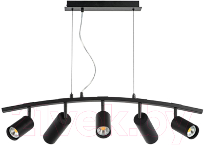 Люстра Lightstar Rullo LR735373872