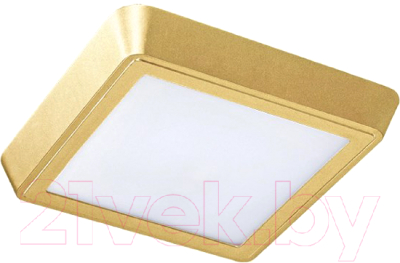 Точечный светильник Lightstar Urbano 216834 - фото