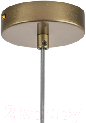 Потолочный светильник Lightstar Ramo 690013