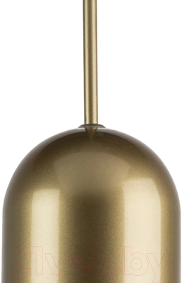 Потолочный светильник Lightstar Ramo 690013