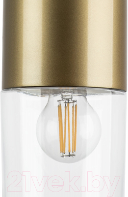 Потолочный светильник Lightstar Ramo 690013