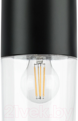 Потолочный светильник Lightstar Ramo 690017