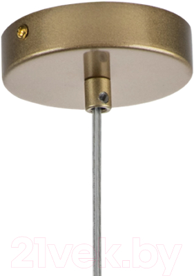 Потолочный светильник Lightstar Ramo 690113