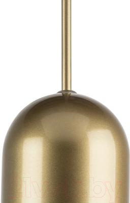 Потолочный светильник Lightstar Ramo 690113