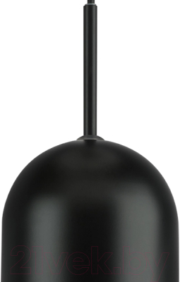 Потолочный светильник Lightstar Ramo 690117