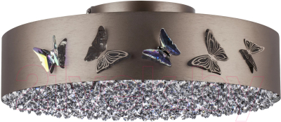 Потолочный светильник Lightstar Faraone 701021 - фото