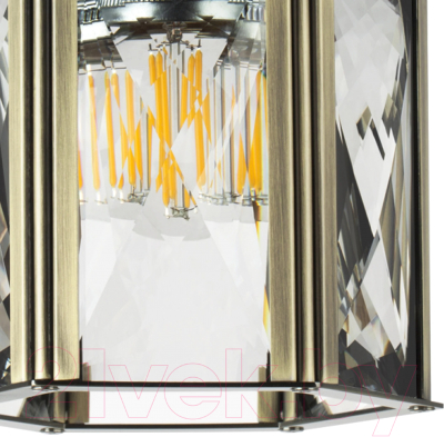 Потолочный светильник Lightstar Limpio 722013