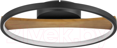 Потолочный светильник Lightstar Lodi 723027 - фото