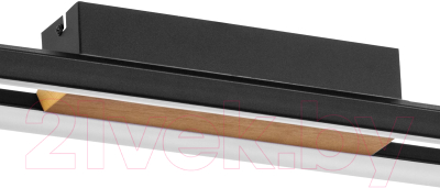 Потолочный светильник Lightstar Lodi 723417