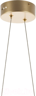 Потолочный светильник Lightstar Varese 731303