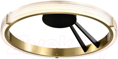 Потолочный светильник Lightstar Rotonda 736041 - фото